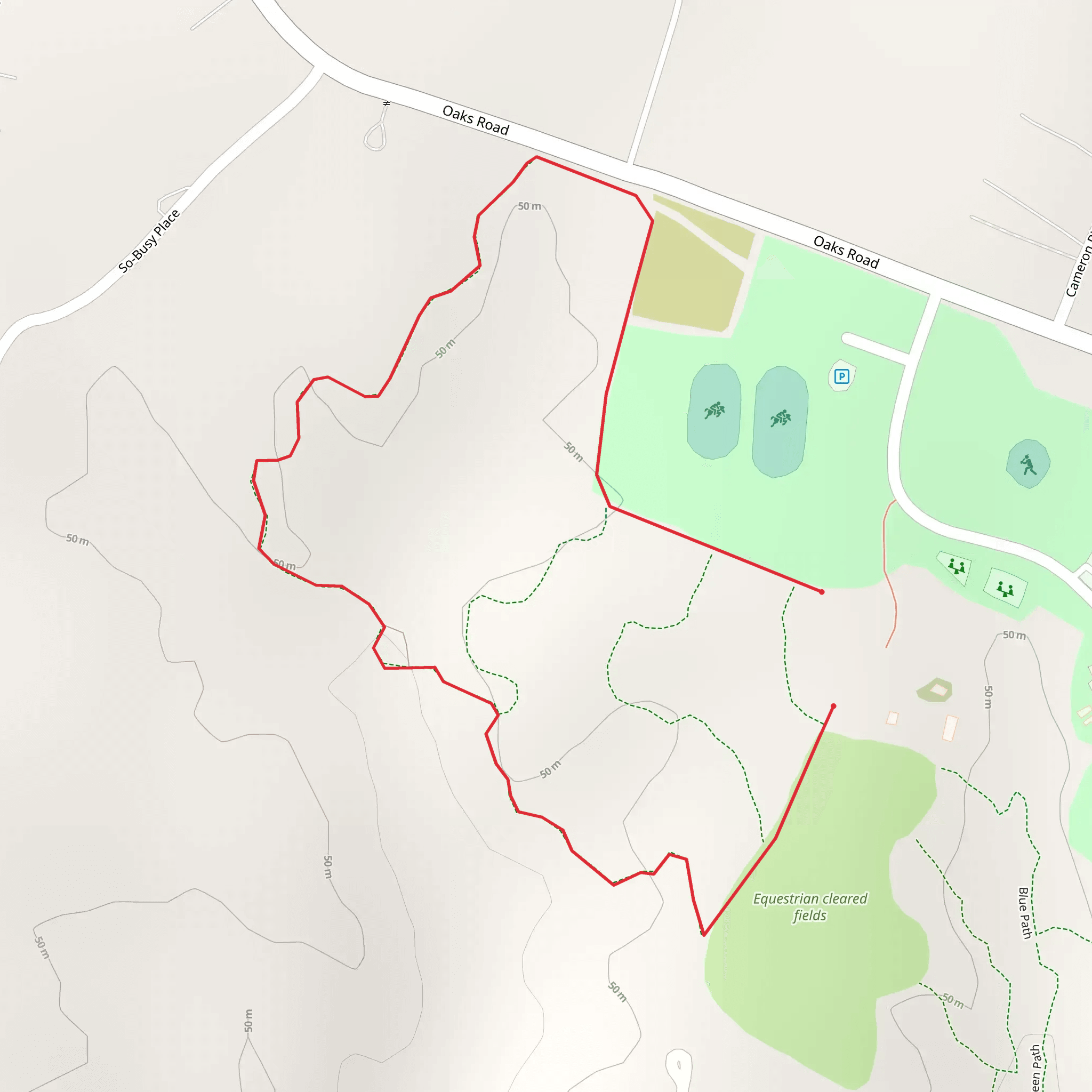 Blue Short Path mobile static map