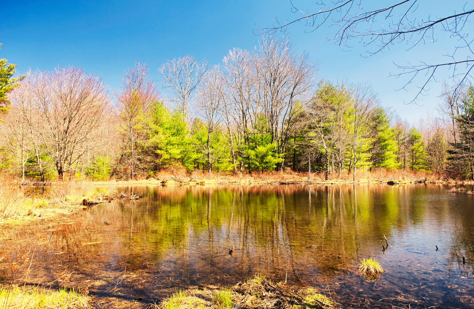 An image depicting the trail Tunxis Trail and its surrounding area.