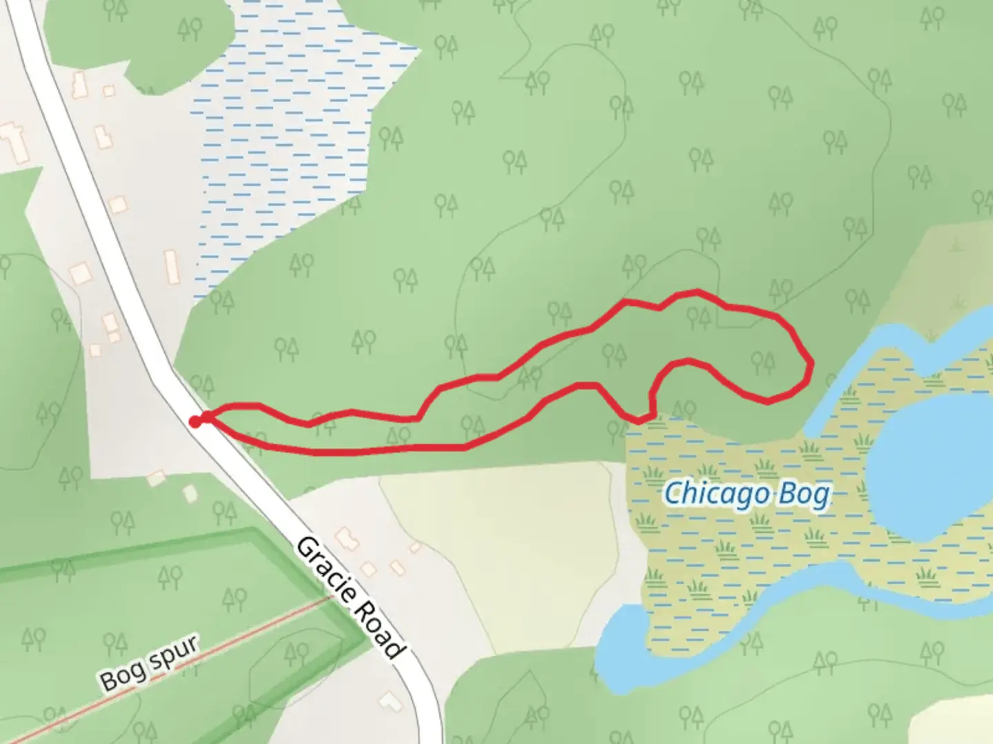 An image depicting the trail Gracie Road - East Loop and its surrounding area.