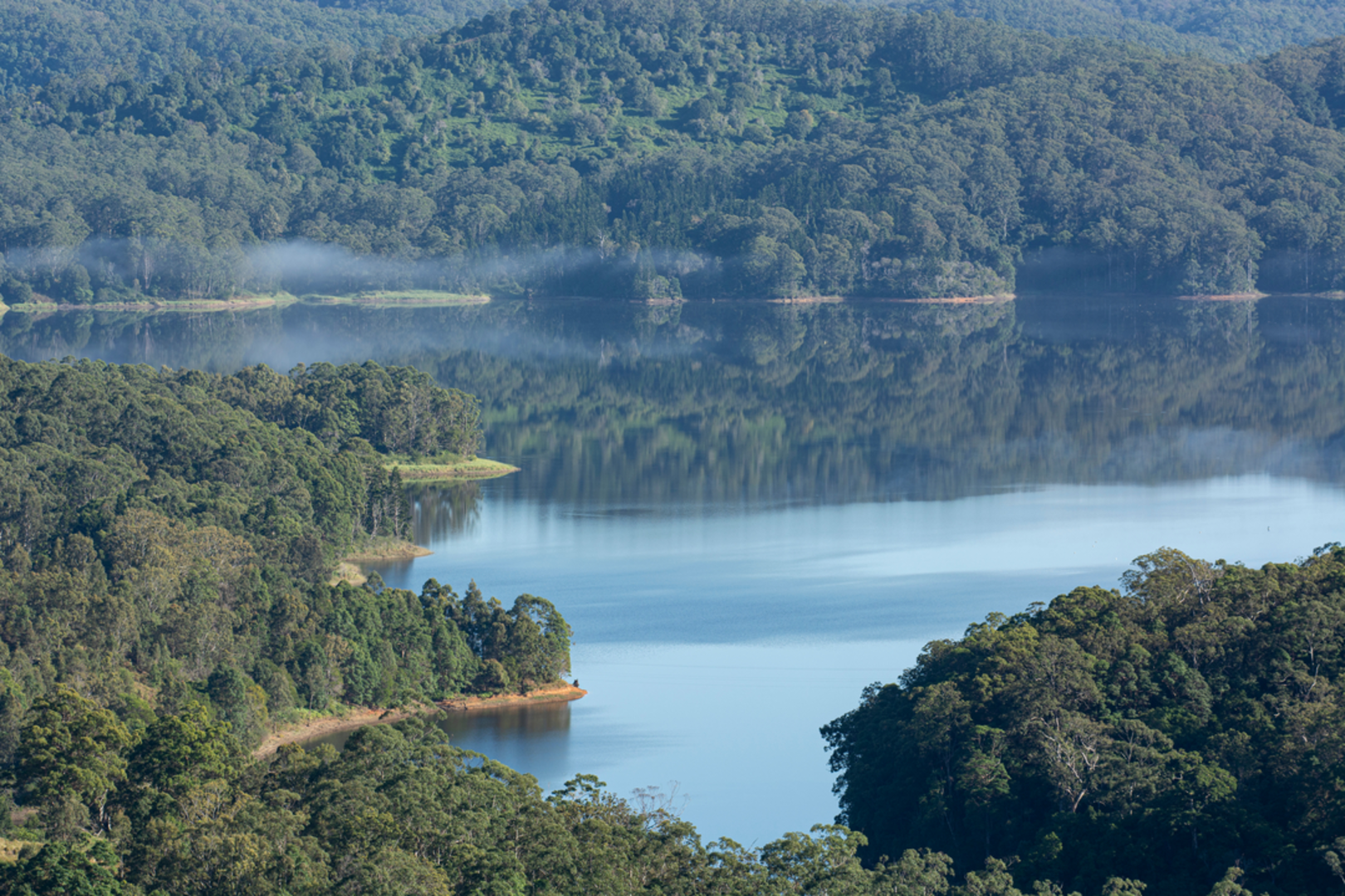 An image depicting the trail Narrows and Baroon Lookouts Track and its surrounding area.