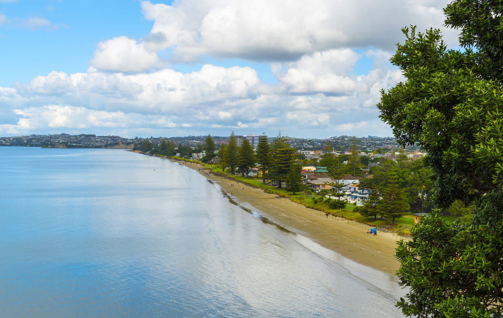 An image depicting the trail Eaves Bush to Orewa Estuary and its surrounding area.