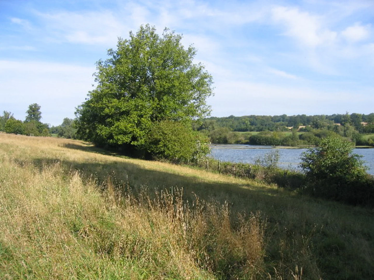 An image depicting the trail Winchmore Hill to Little Missenden Loop via Shardeloes Lake and its surrounding area.