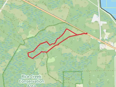 Rice Creek Swamp Loop