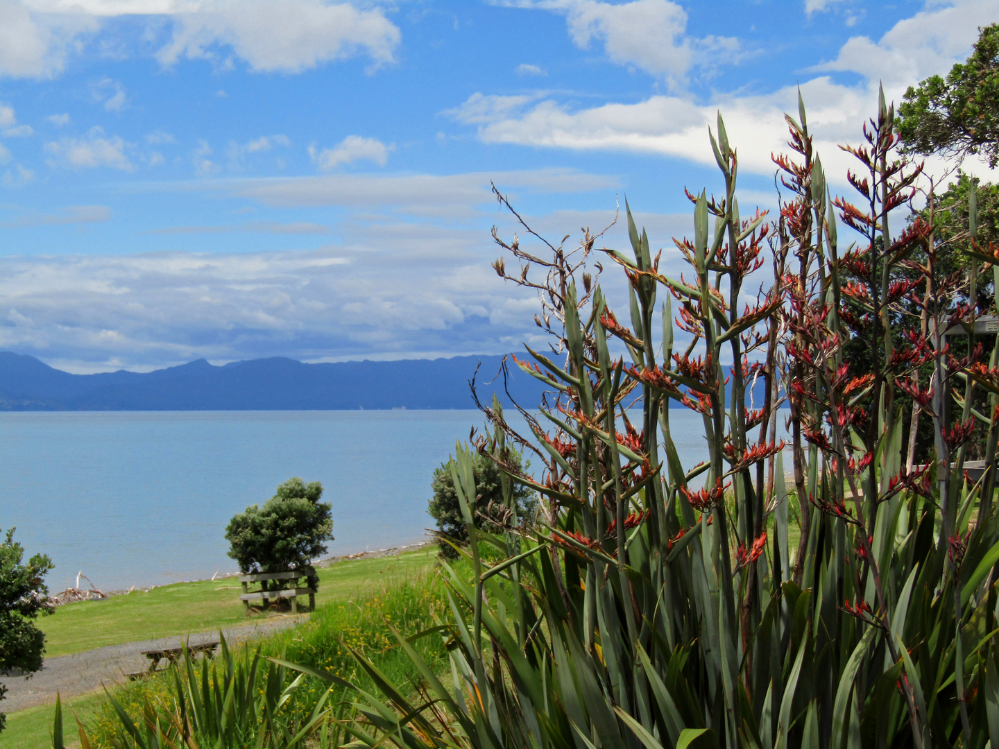 An image depicting the trail Tapapakanga Coastal Walk and its surrounding area.