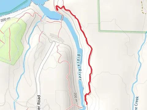 Black River via North Country Trail Out and Back