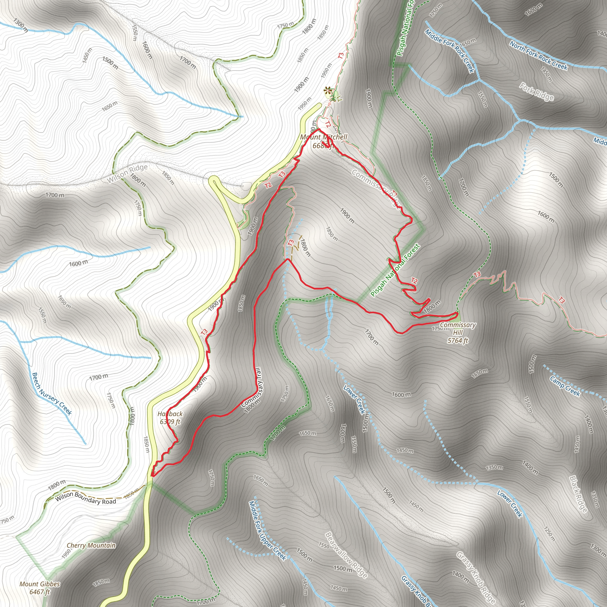 Hallback, Mount Mitchell and Commissary Hill Loop via Old Mitchell Traill Loop mobile static map