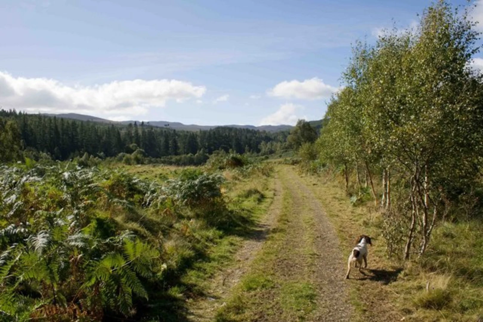 An image depicting the trail Tweedmouth Loop Trail and its surrounding area.