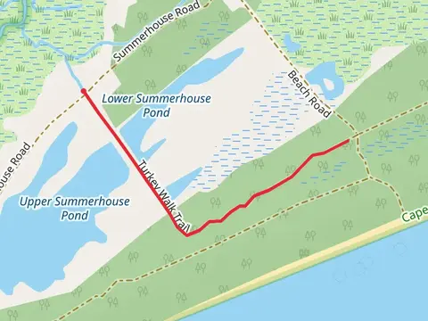 Turkey Walk Trail
