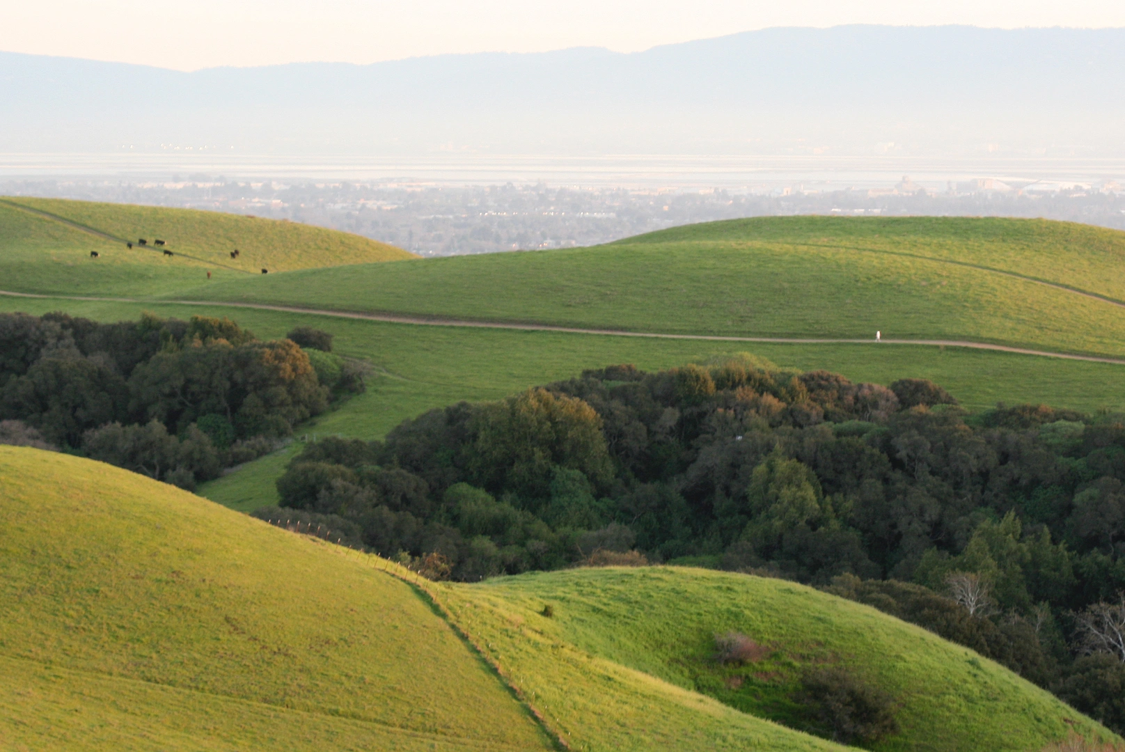 An image depicting the trail Garin Peak - Vista Peak Loop Trail and its surrounding area.