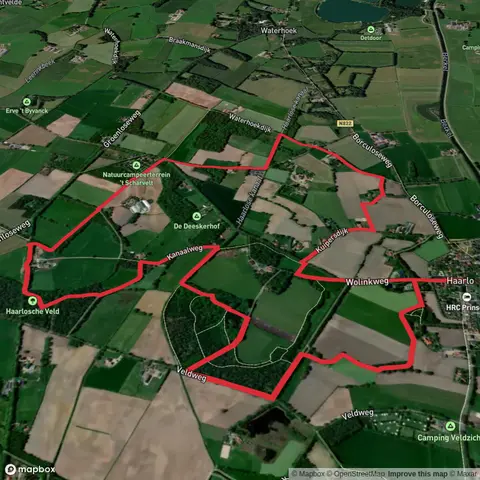 Haarlosche and Wolink Loop