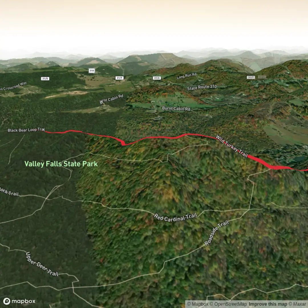 An image depicting the trail Wild Turkey Trail and its surrounding area.