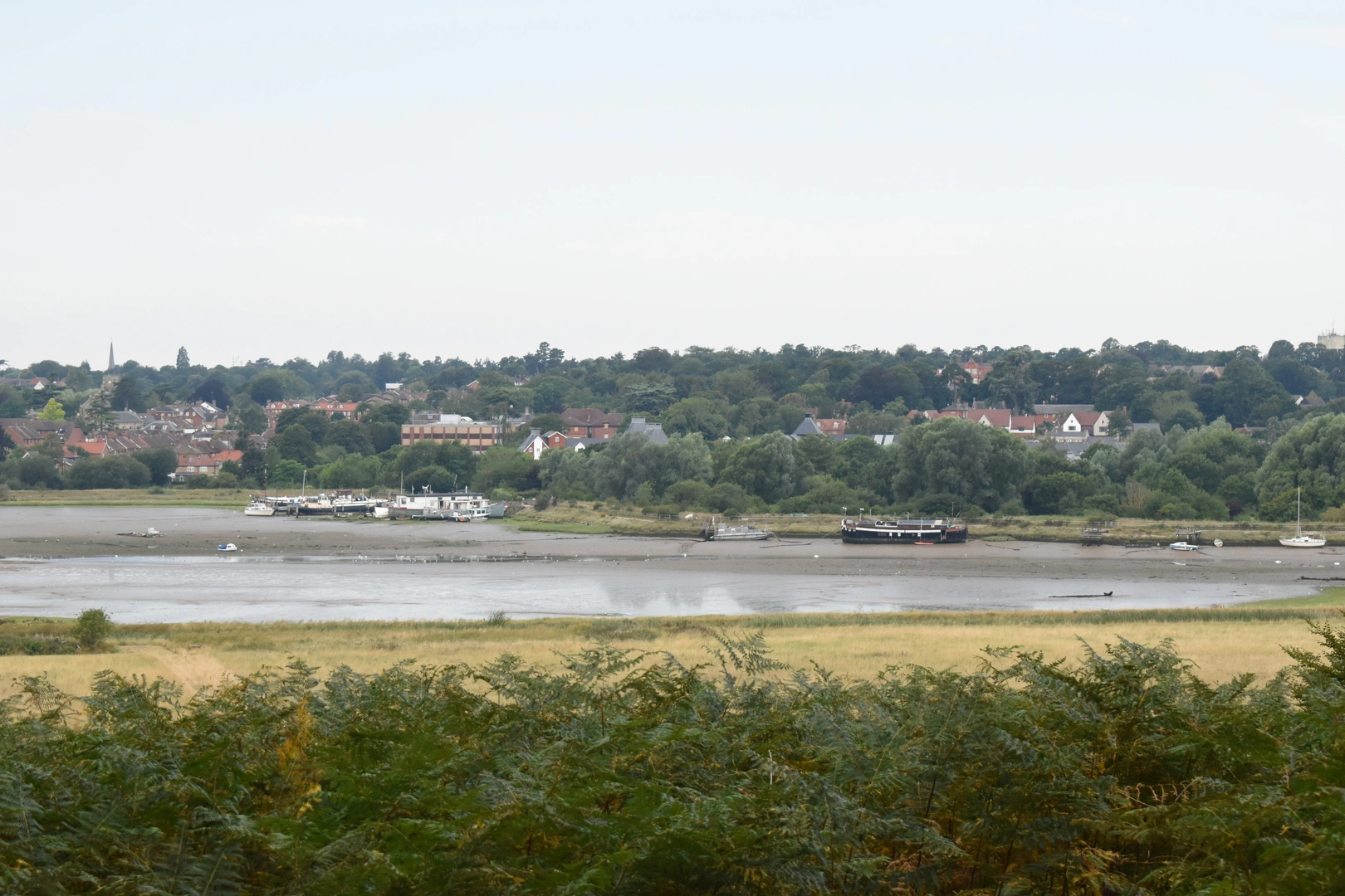 An image depicting the trail Fynn Valley Walk and its surrounding area.