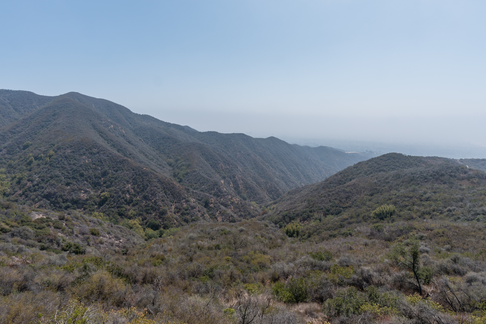 An image depicting the trail Backbone, Temescal Peak and Temescal Ridge Trail and its surrounding area.