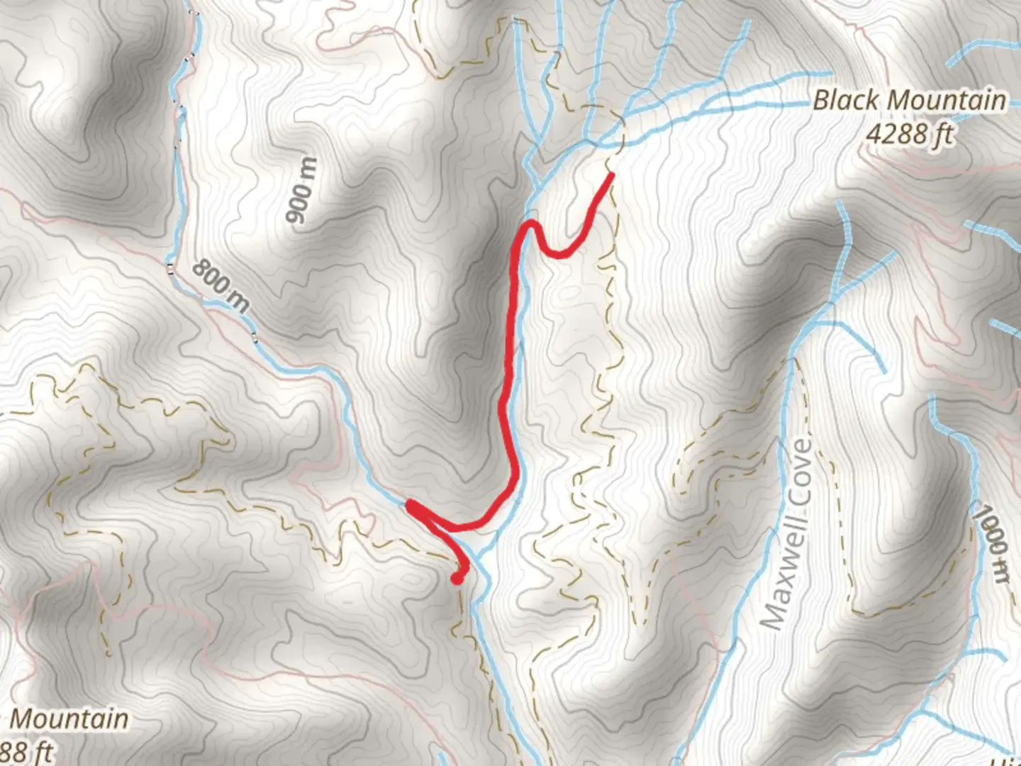 An image depicting the trail Clawhammer Cove from Avery Creek Road and its surrounding area.