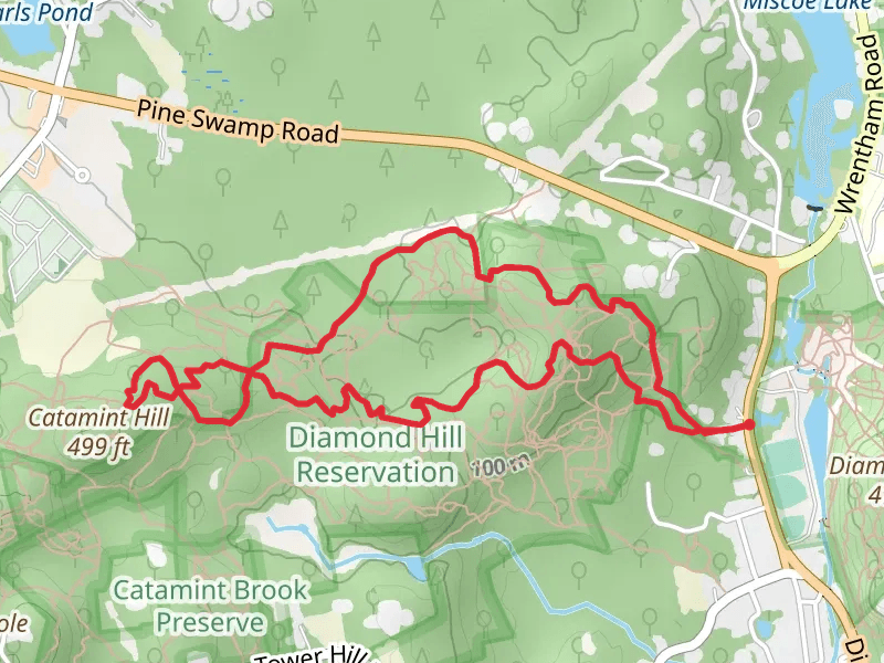 Clyde Frog and Double Track Loop
