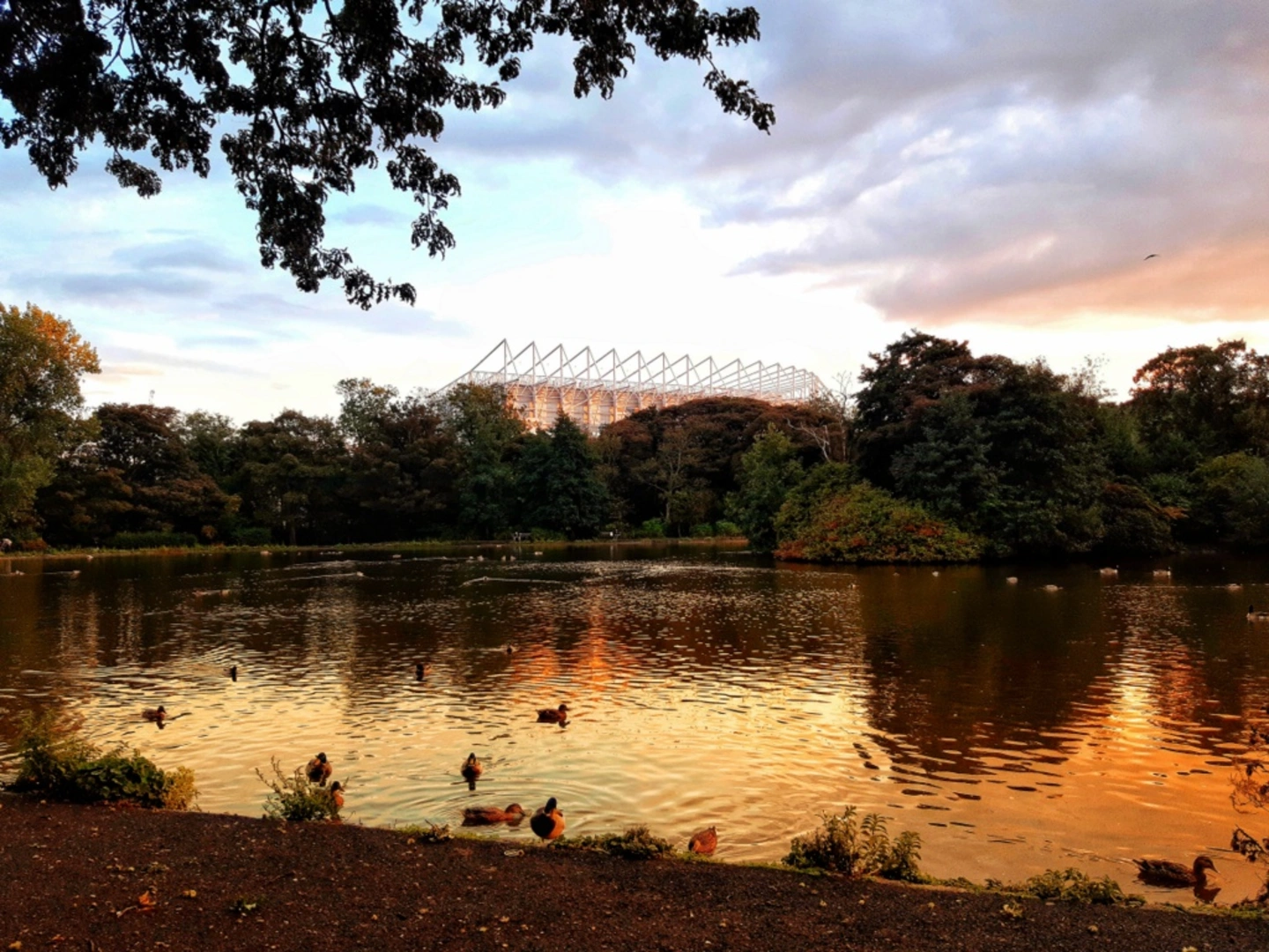 An image depicting the trail Leazes Park and Exhibition Park Lake Loop and its surrounding area.