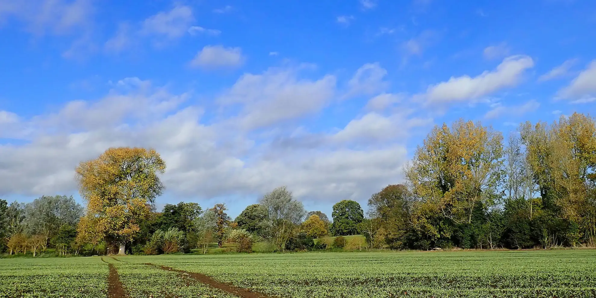 An image depicting the trail Hertfordshire Way from Aldenham to Bricket Wood and its surrounding area.