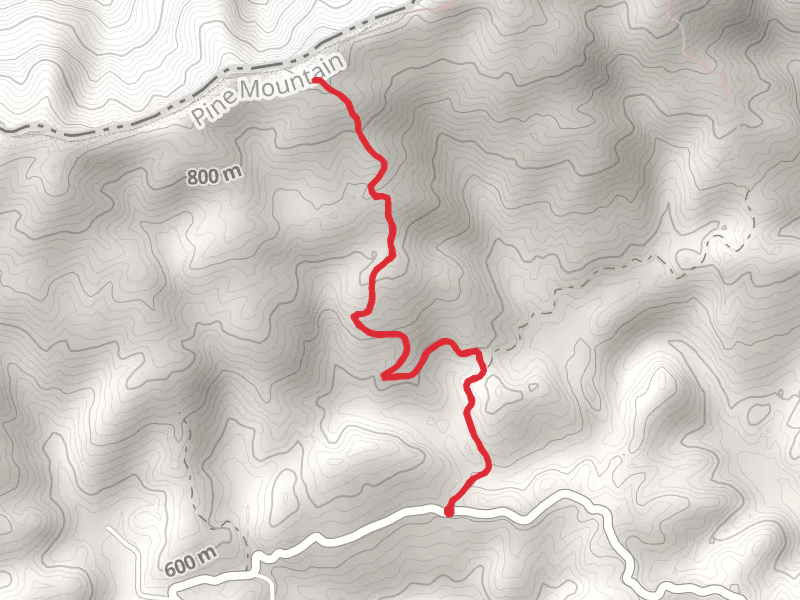 Counts Cabin Trail