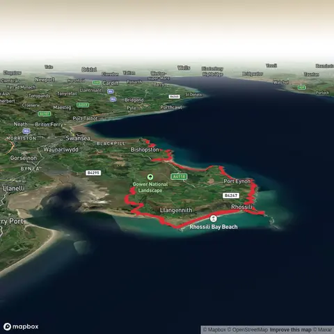 Gower Ultra Bach