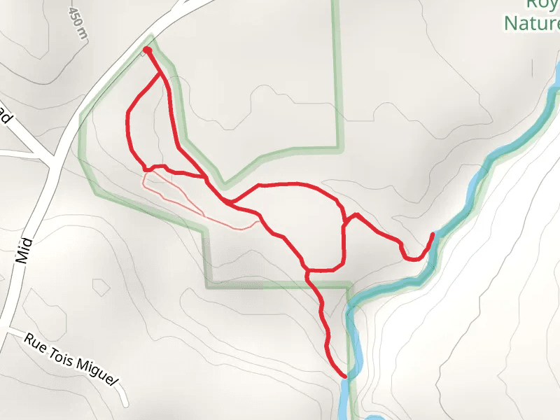 Six Mile Creek via Phenology Loop Trail