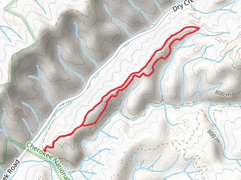 Rustic Ridge and Church Loop Trail