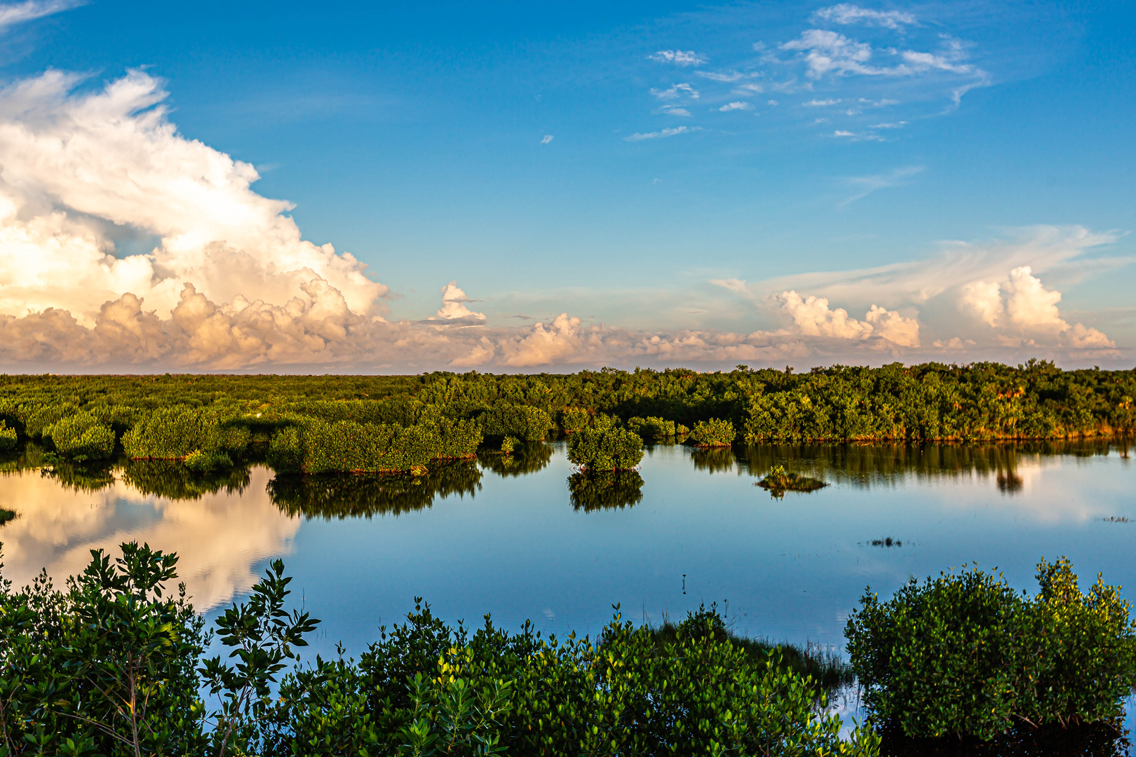 An image depicting the trail Sandfly Island Hiking Trail and its surrounding area.