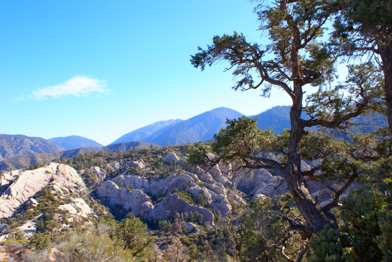 An image depicting the trail Devils Punchbowl Interpretive Trail and its surrounding area.