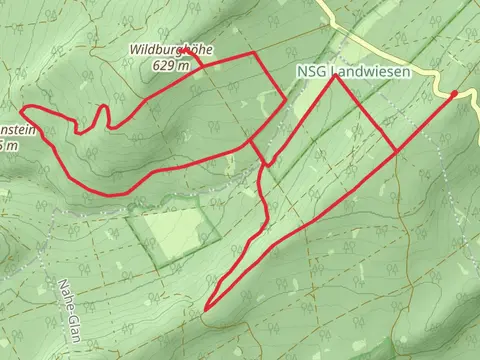 Ruine Wildburg Loop via NSG Landwiesen