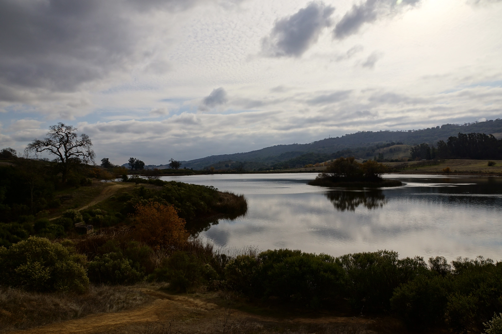 An image depicting the trail Halls Valley Lake Loop and its surrounding area.