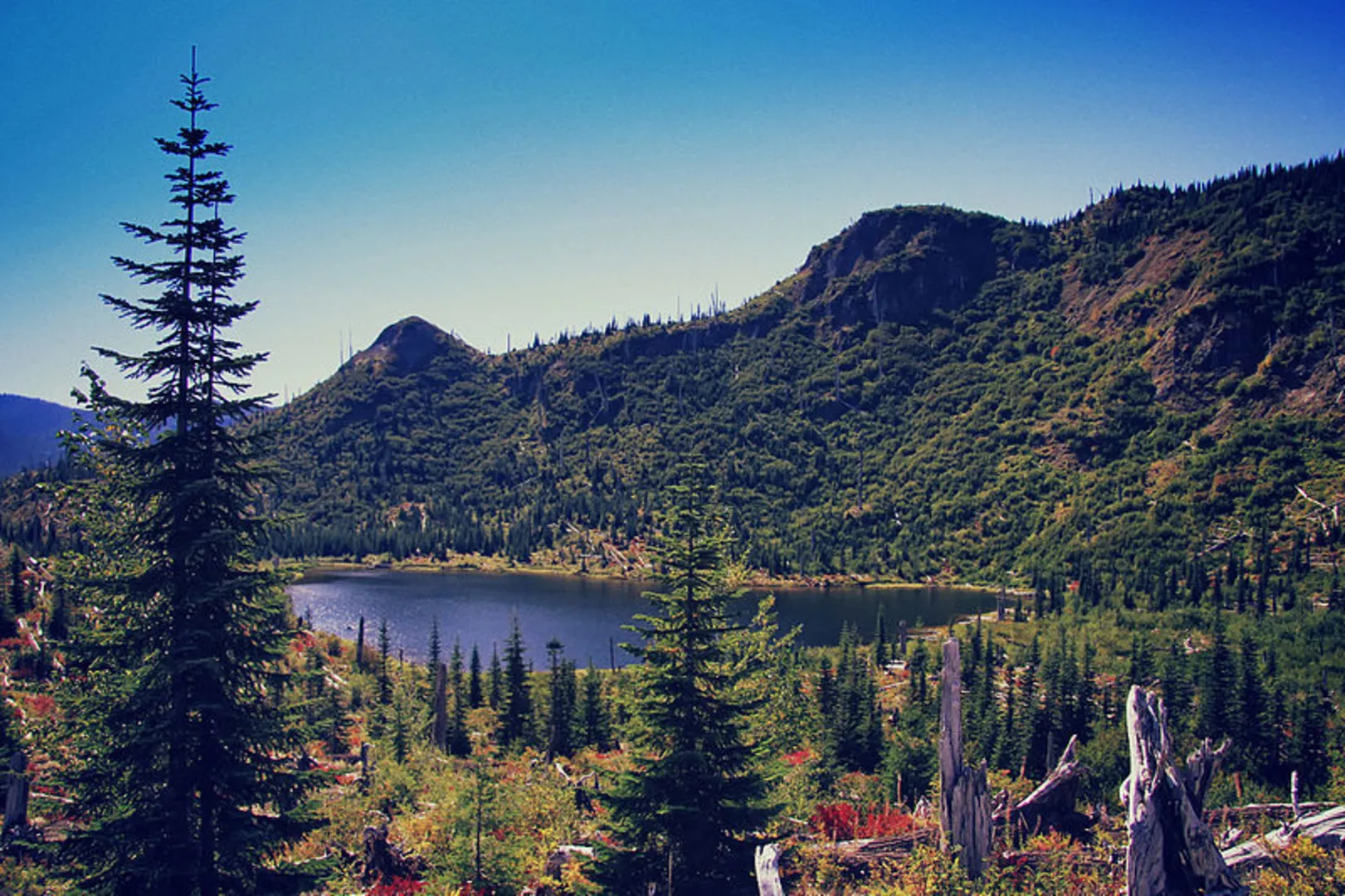 An image depicting the trail Meta Lake Trail and its surrounding area.