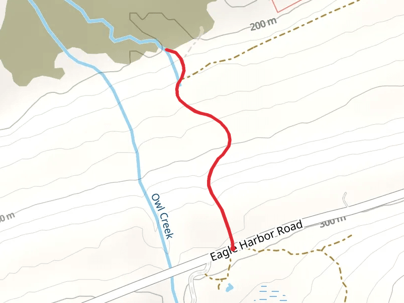 Eagle Harbor Road Walk - North