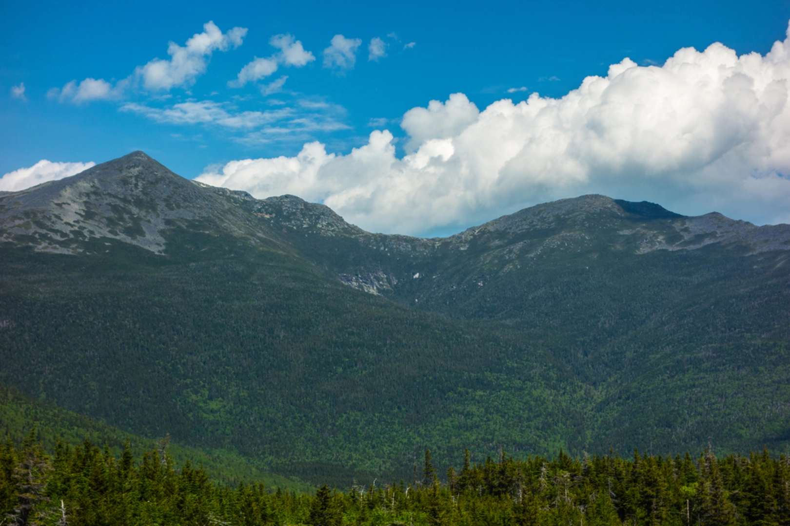 An image depicting the trail Mount Jefferson via Jewell Trail and its surrounding area.