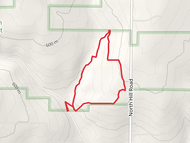 Lost Nation Road Loop