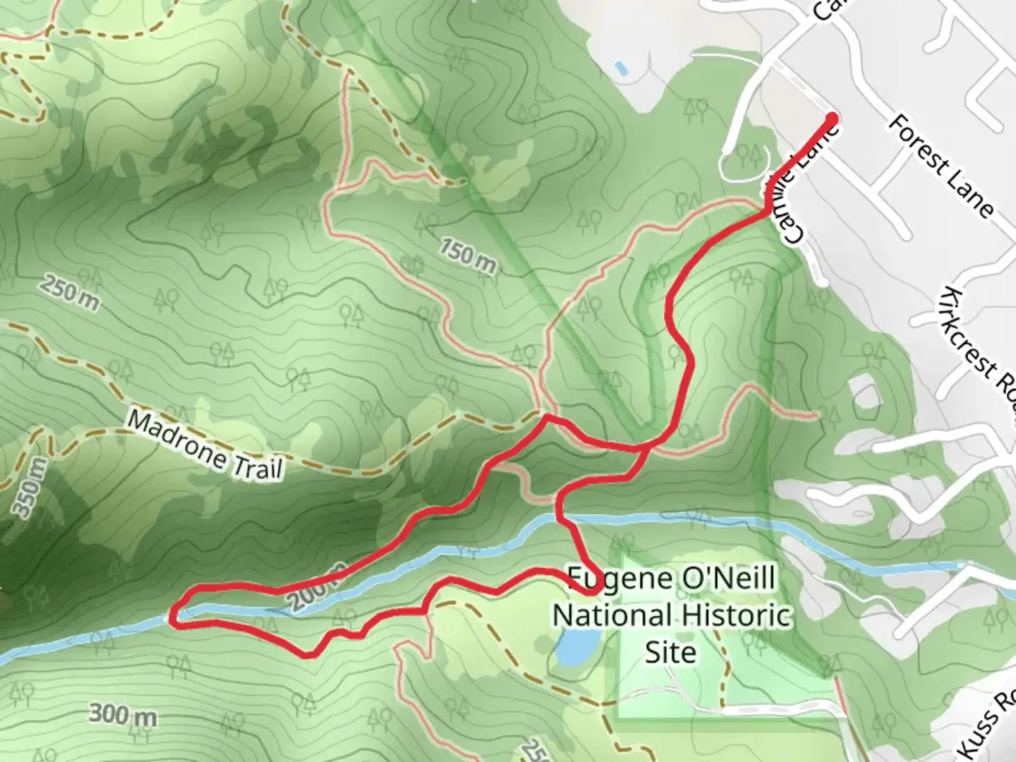 An image depicting the trail Madrone - Virgil Williams Loop Trail and its surrounding area.