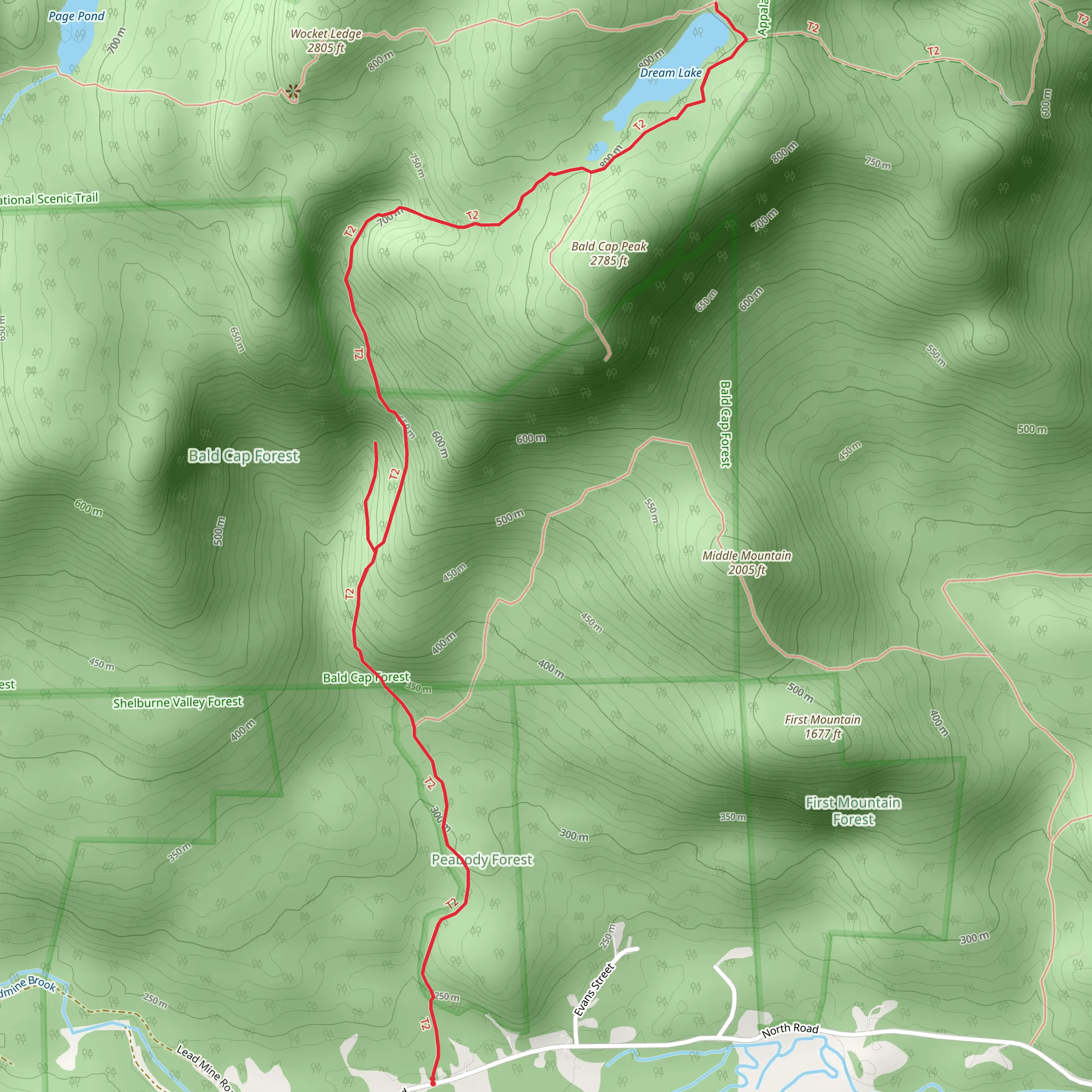 Giant Falls and Dream Lake via Peabody Brook Trail mobile static map