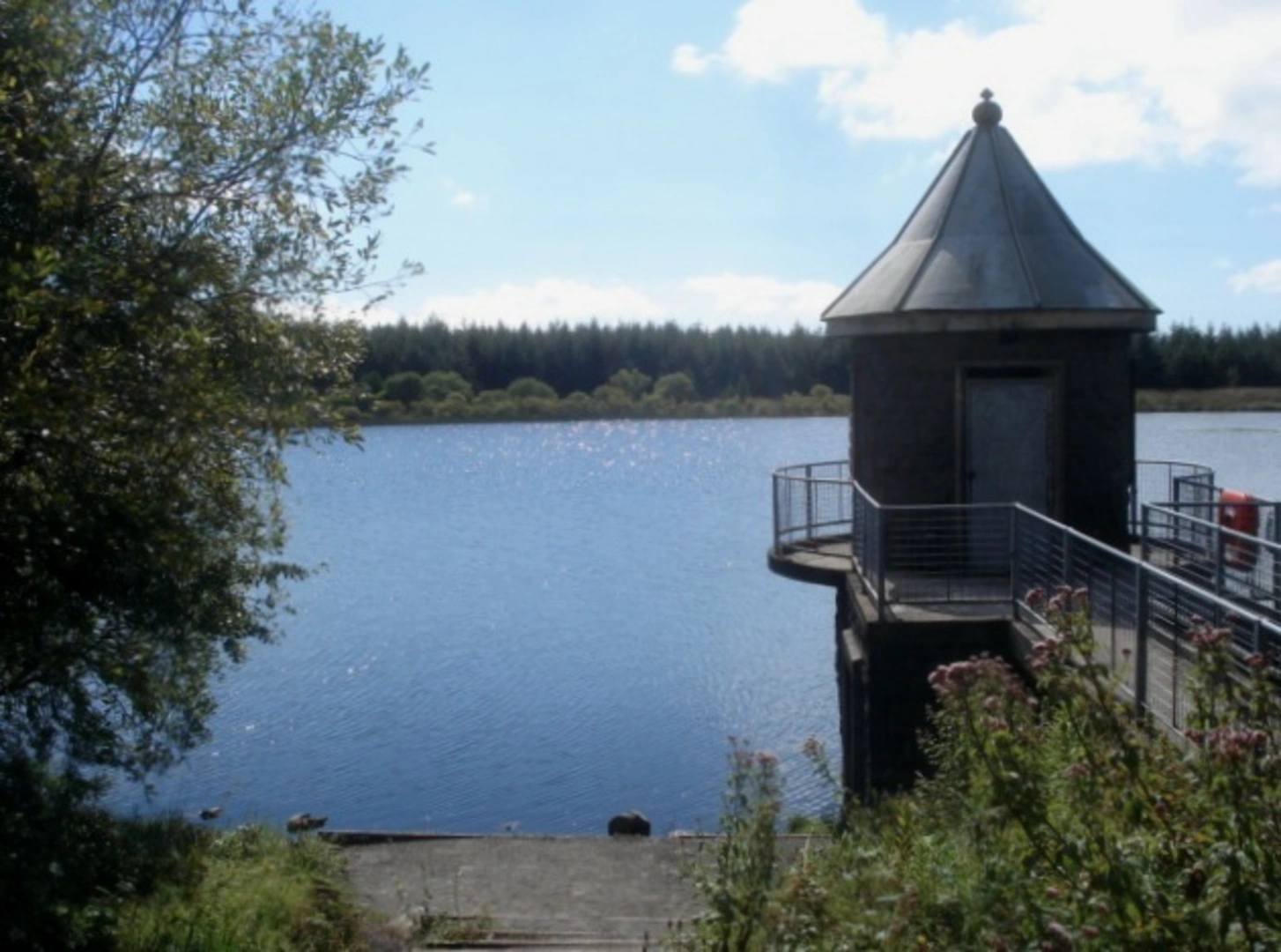 An image depicting the trail Llyn Llech Owain Loop and its surrounding area.