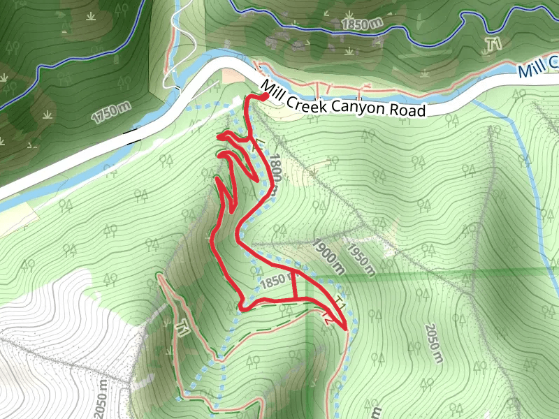 Desolation Trail and Thayne Canyon Trail