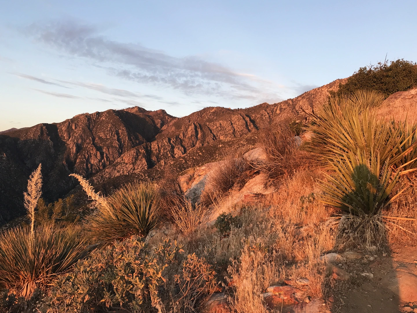 An image depicting the trail Round Valley, Grubbs Notch and Desert View Loop Trail and its surrounding area.