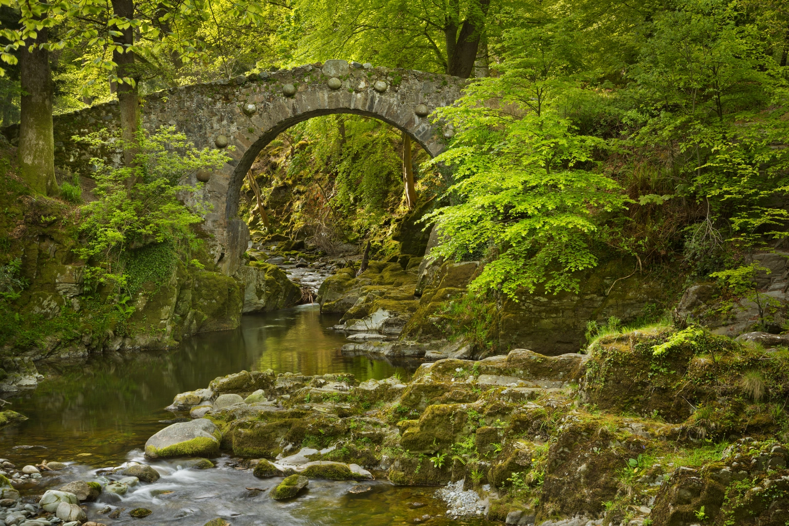 An image depicting the trail Tollymore Forest Park – River Trail and its surrounding area.