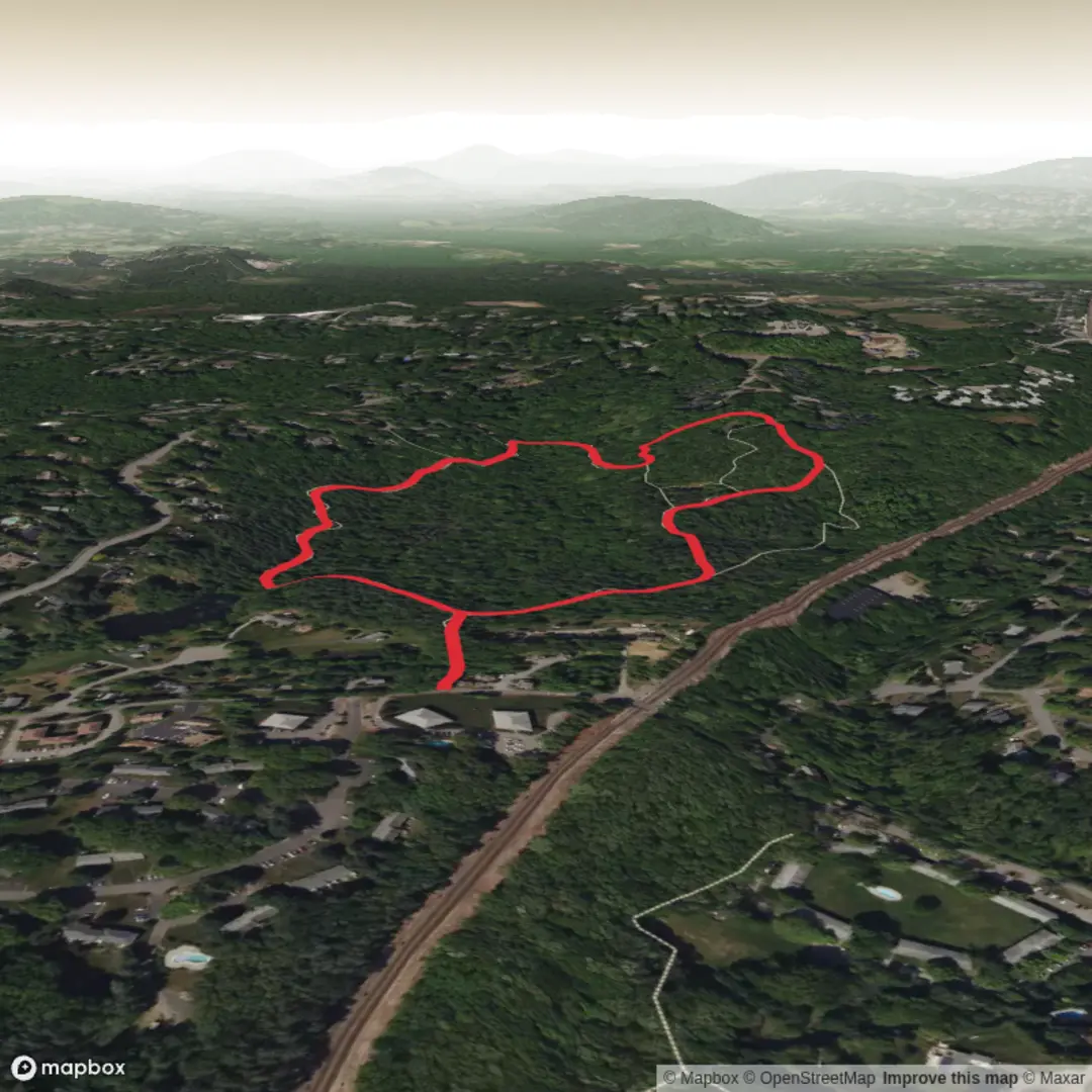 An image depicting the trail Pratts Brook and its surrounding area.
