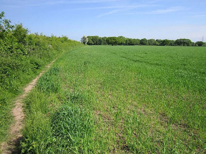 Parkgate Circular Walk