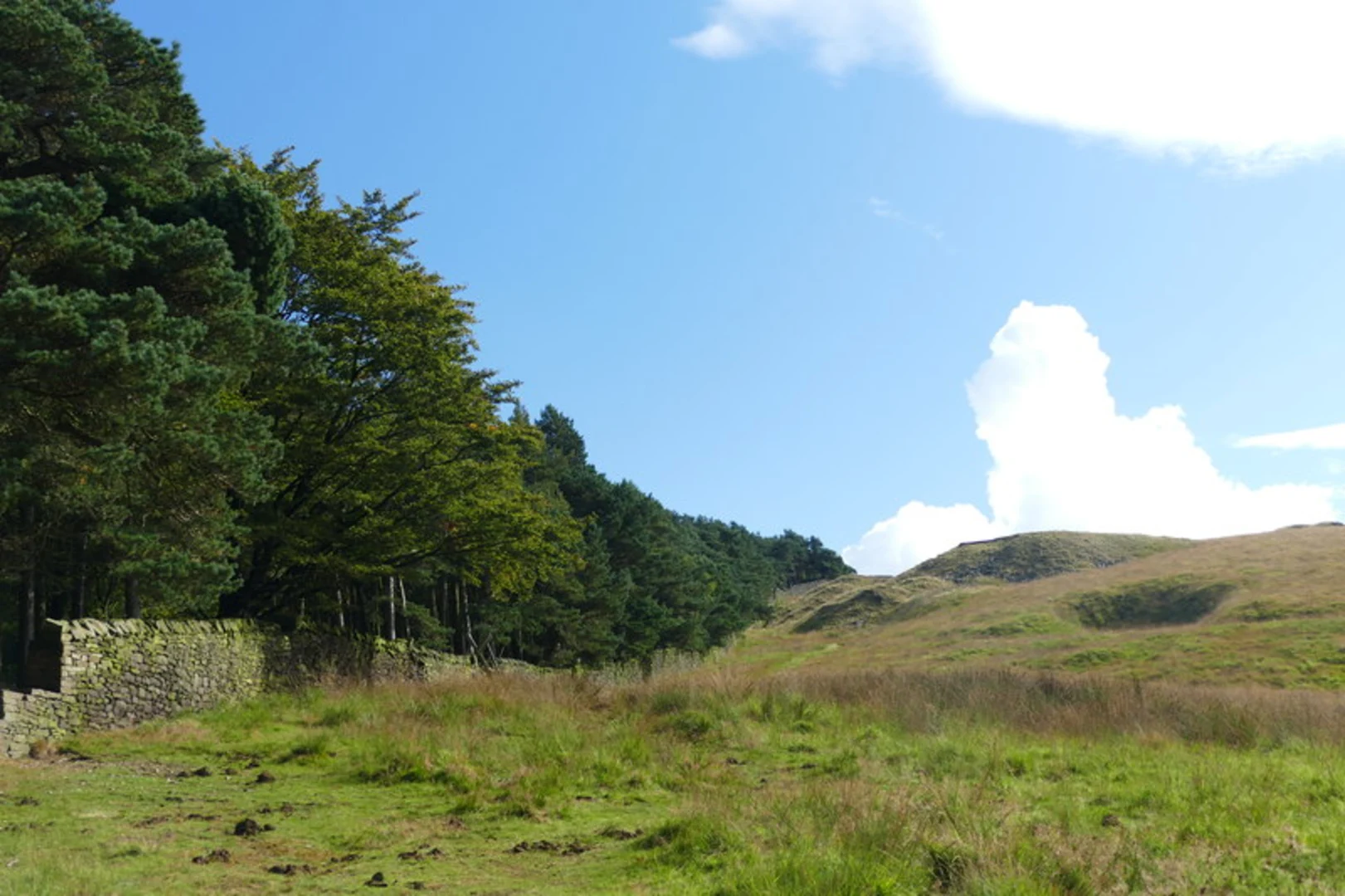 An image depicting the trail Reflection Lake, Kinghtslow Wood and Lantern Wood Loop and its surrounding area.