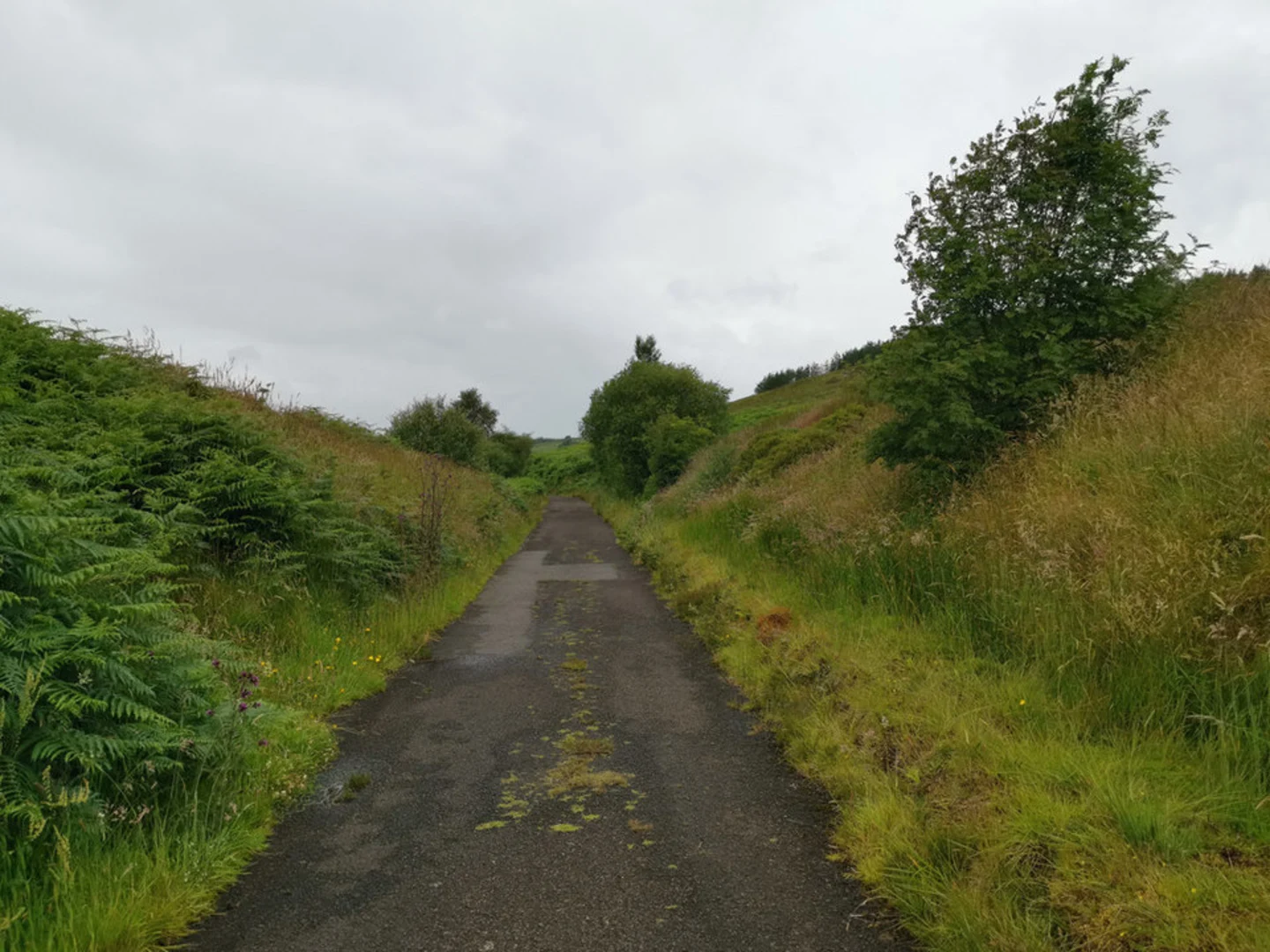 An image depicting the trail Banagher Glen to Mullaghmore and its surrounding area.