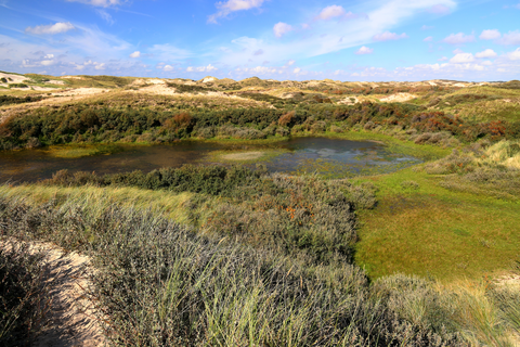 Landerumerheide Loop