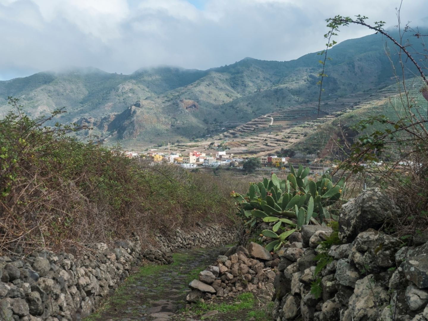 An image depicting the trail El Palmar - Cumbre de Bolico PR TF 56 and its surrounding area.