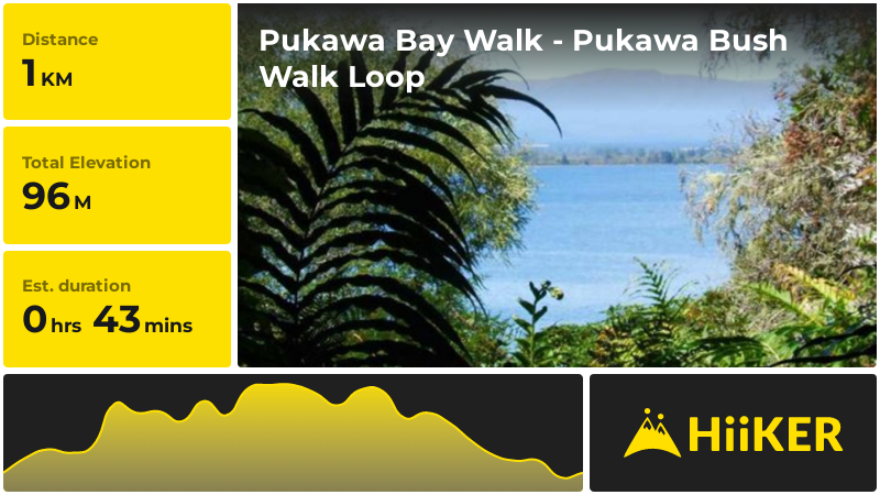 Pukawa Bay Walk - Pukawa Bush Walk Loop | Taupo | New Zealand
