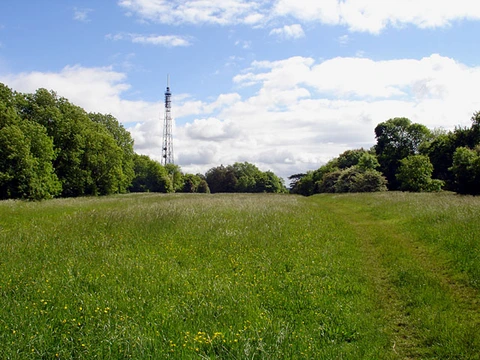 Kings Weston Woods Loop