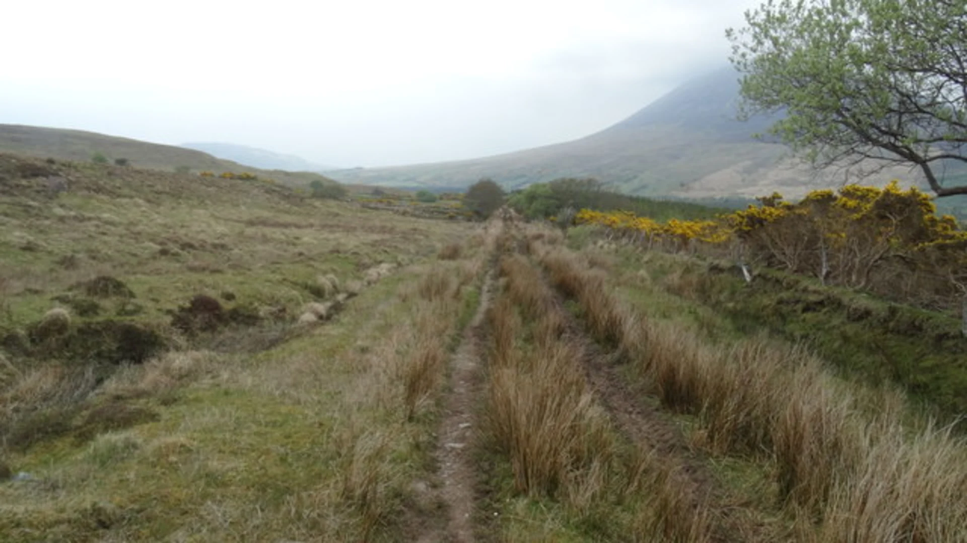 An image depicting the trail Keenagh Loop and its surrounding area.