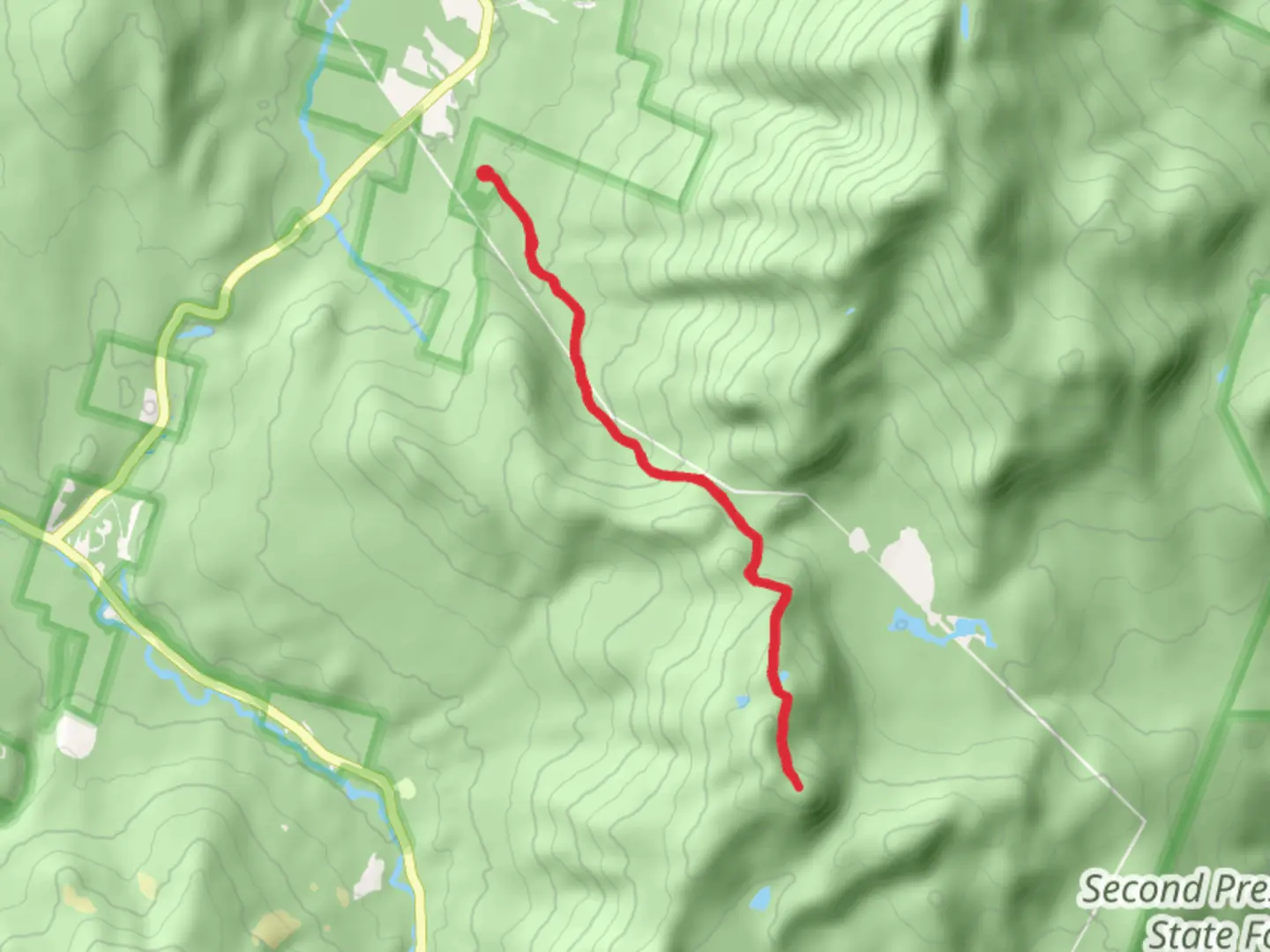 An image depicting the trail Mount Wolf via Reel Brook Road and its surrounding area.