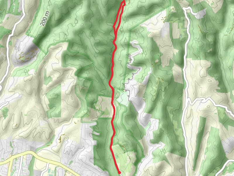 Aptos Creek Fire Road and Loma Prieta Grade